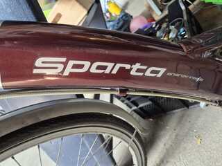 Fiets, Sparta, Ion, zilver/bordeaux